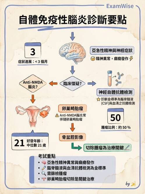 內專 - 腦炎、腦病變與癲癇 - AI 圖文解析預覽