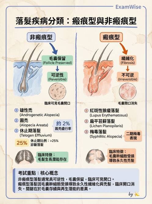 內專 - 免疫皮膚病與藥物反應 - AI 圖文解析預覽