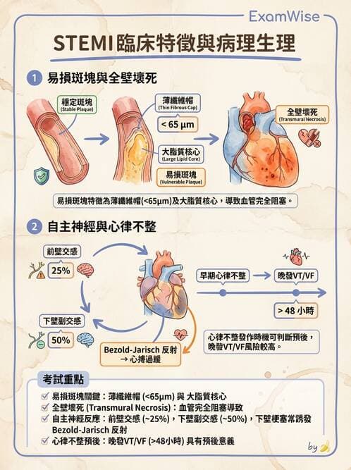 內專 - 急性冠心症 - AI 圖文解析預覽