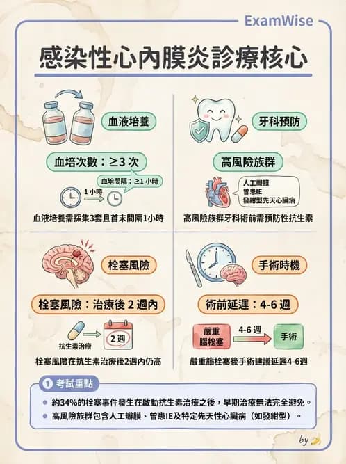 內專 - 心內膜炎與心包膜疾病 - AI 圖文解析預覽