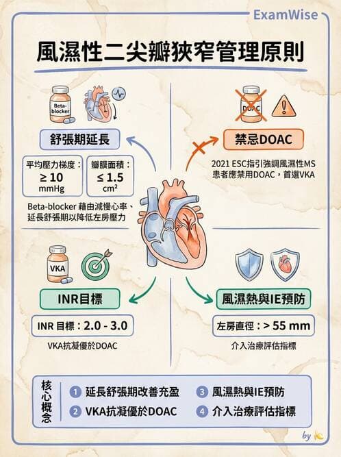 內專 - 瓣膜性心臟病 - AI 圖文解析預覽