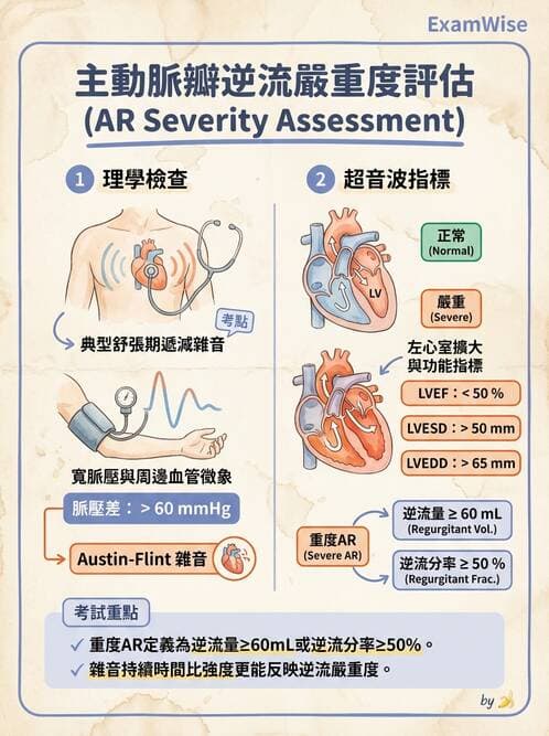 內專 - 瓣膜性心臟病 - AI 圖文解析預覽