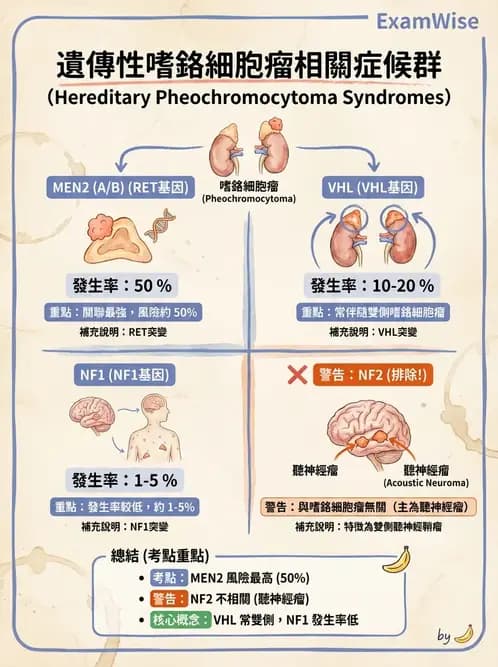 內專 - 高血壓 - AI 圖文解析預覽