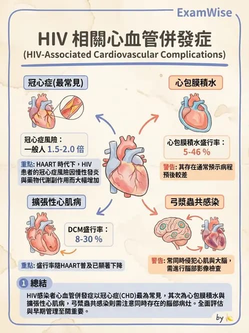 內專 - 主動脈與周邊血管疾病 - AI 圖文解析預覽