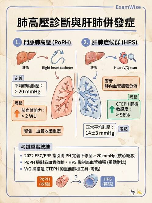內專 - 肺血管疾病 - AI 圖文解析預覽