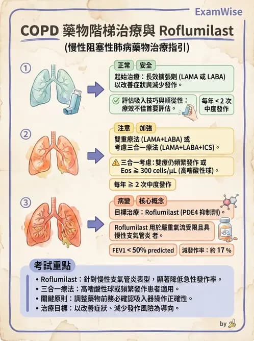 內專 - COPD 穩定期診斷與治療 - AI 圖文解析預覽