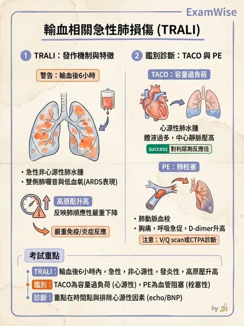內專 - ARDS 與重症照護 - AI 圖文解析預覽
