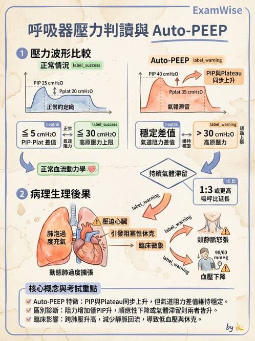 內專 - COPD 急性惡化 - AI 圖文解析預覽