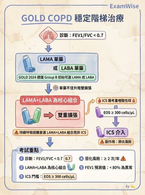 內專 - COPD 穩定期診斷與治療 - AI 圖文解析預覽