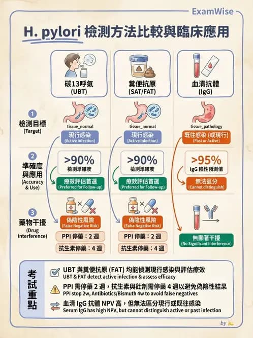 內專 - 幽門螺旋桿菌診斷與根除 - AI 圖文解析預覽