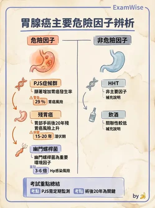 內專 - 胃癌與消化道腫瘤 - AI 圖文解析預覽