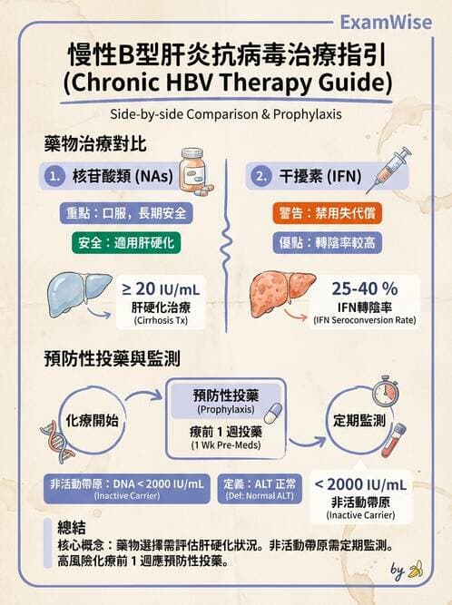 內專 - B型肝炎 - AI 圖文解析預覽
