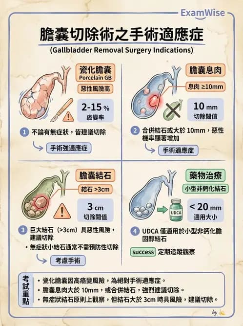 內專 - 膽道疾病與膽酸生理 - AI 圖文解析預覽