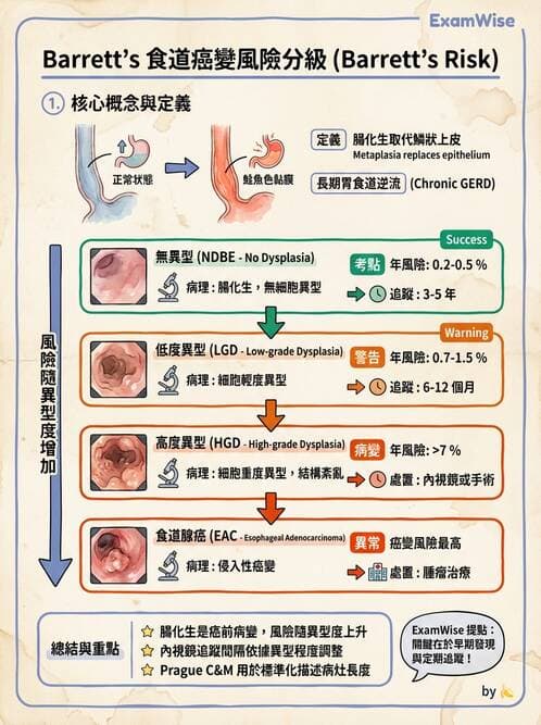 內專 - GERD、Barrett's食道與食道炎 - AI 圖文解析預覽