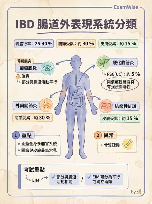 內專 - 發炎性腸道疾病 - AI 圖文解析預覽