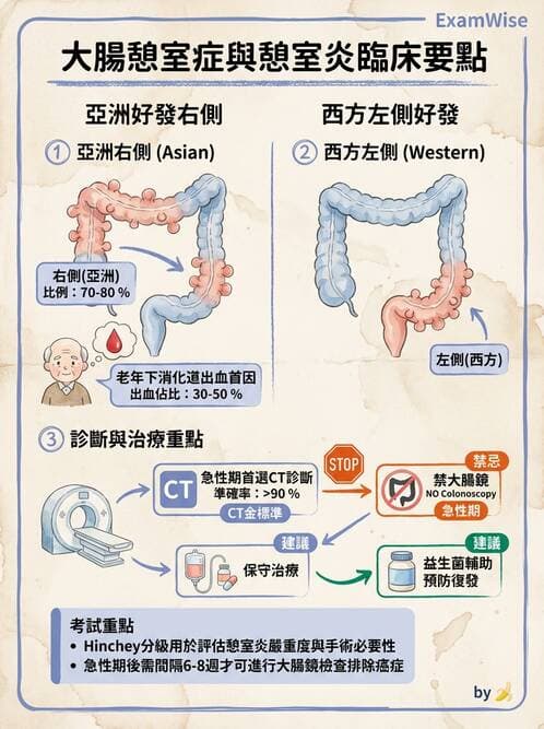 內專 - 憩室病、缺血性腸病與消化道出血 - AI 圖文解析預覽