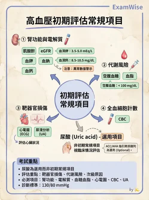 內專 - 腎間質疾病與其他 - AI 圖文解析預覽