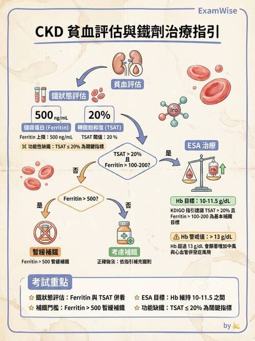內專 - 慢性腎臟病管理 - AI 圖文解析預覽