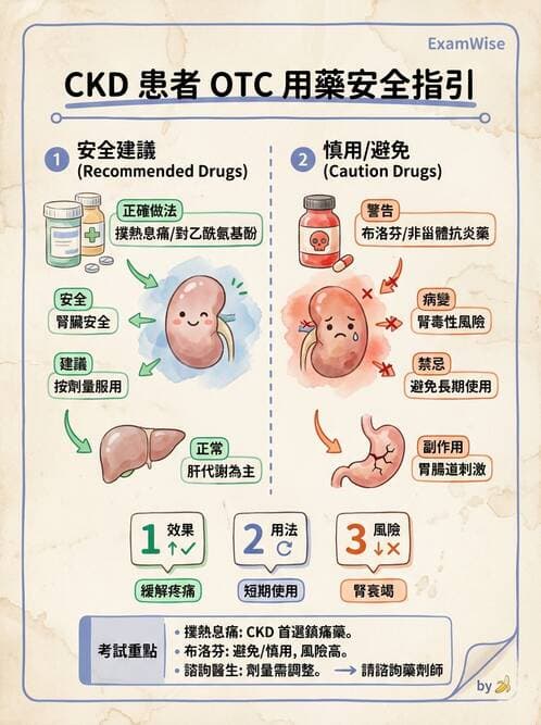 內專 - 慢性腎臟病管理 - AI 圖文解析預覽