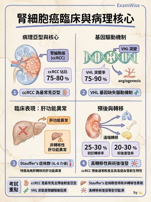 內專 - 腎間質疾病與其他 - AI 圖文解析預覽
