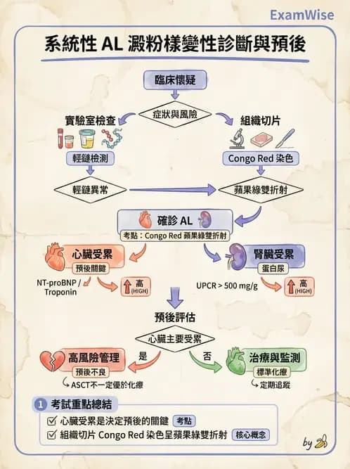 內專 - 繼發性腎絲球腎炎 - AI 圖文解析預覽