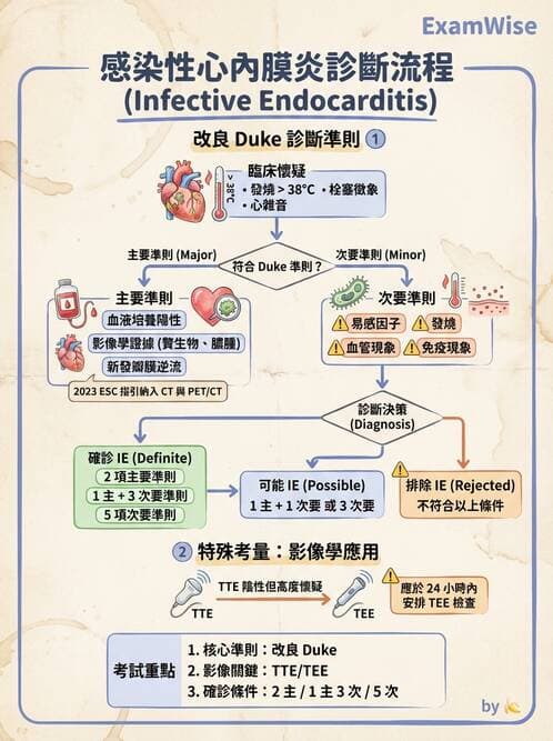 內專 - 心內膜炎與心包膜疾病 - AI 圖文解析預覽