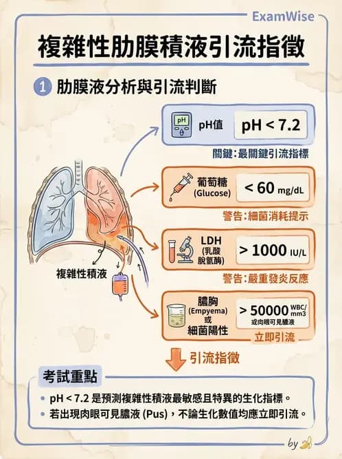 內專 - 肋膜疾病與氣胸 - AI 圖文解析預覽