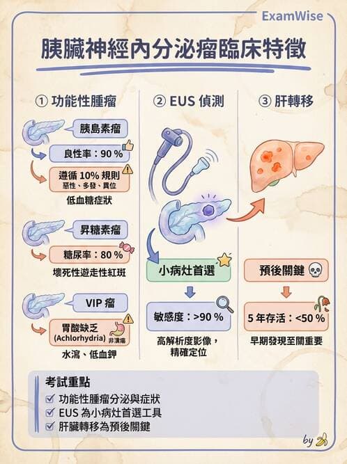 內專 - 消化系統腫瘤 - AI 圖文解析預覽