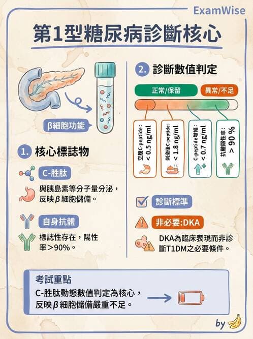 內專 - 糖尿病診斷、特殊族群與代謝性疾病 - AI 圖文解析預覽