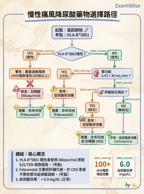 內專 - 痛風、結晶性與退化性關節炎 - AI 圖文解析預覽