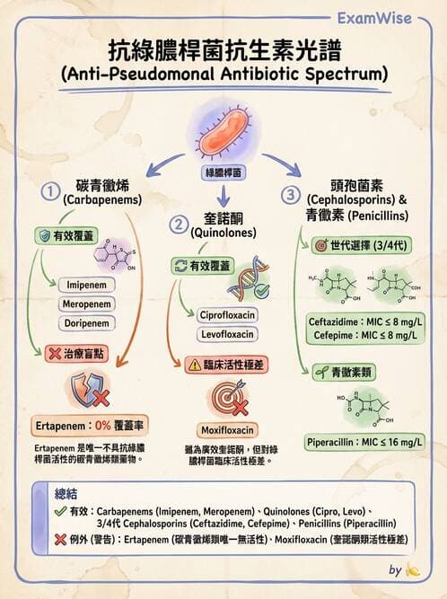 內專 - 革蘭氏陰性菌感染 - AI 圖文解析預覽