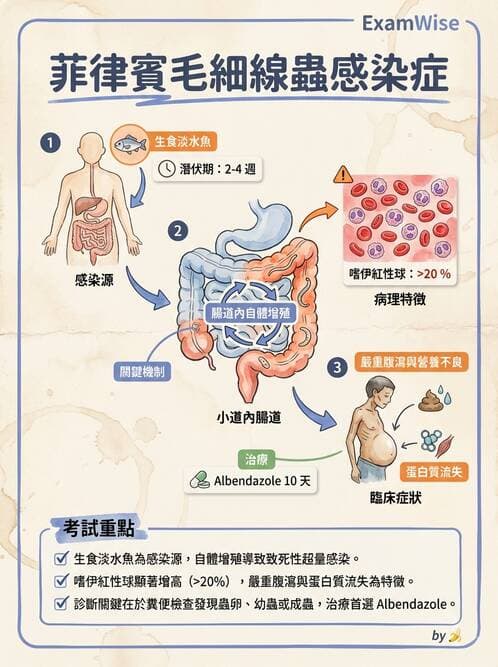 內專 - 蟲媒感染、性傳播感染與寄生蟲 - AI 圖文解析預覽