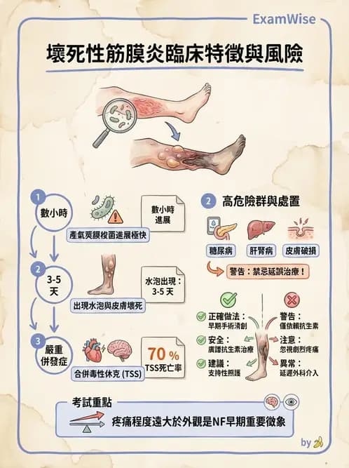 內專 - 革蘭氏陽性菌感染 - AI 圖文解析預覽