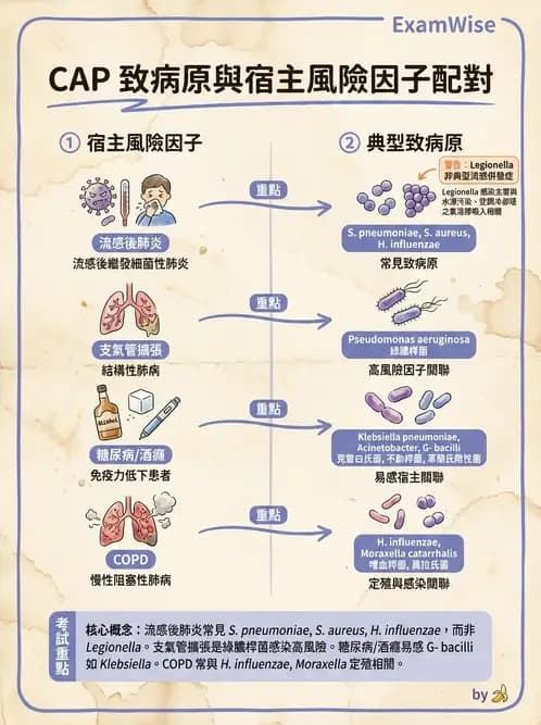 內專 - 呼吸道與中樞神經感染 - AI 圖文解析預覽