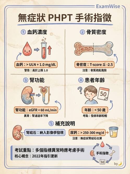 內專 - 副甲狀腺與鈣代謝異常 - AI 圖文解析預覽