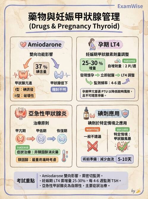 內專 - 甲狀腺疾病 - AI 圖文解析預覽