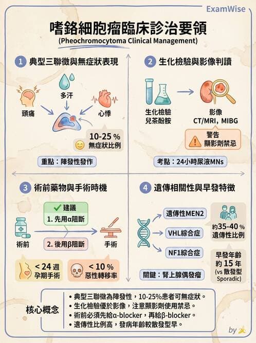 內專 - 嗜鉻細胞瘤與腎上腺髓質 - AI 圖文解析預覽