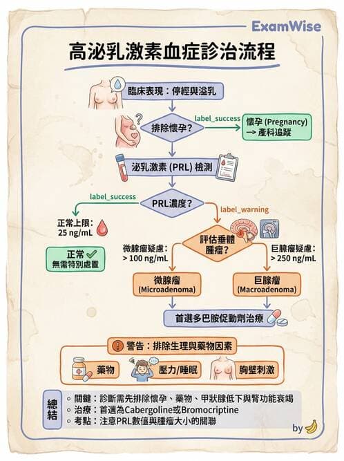 內專 - 腦垂體疾病 - AI 圖文解析預覽