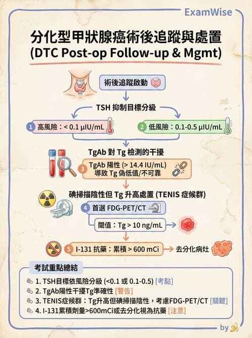 內專 - 甲狀腺疾病 - AI 圖文解析預覽