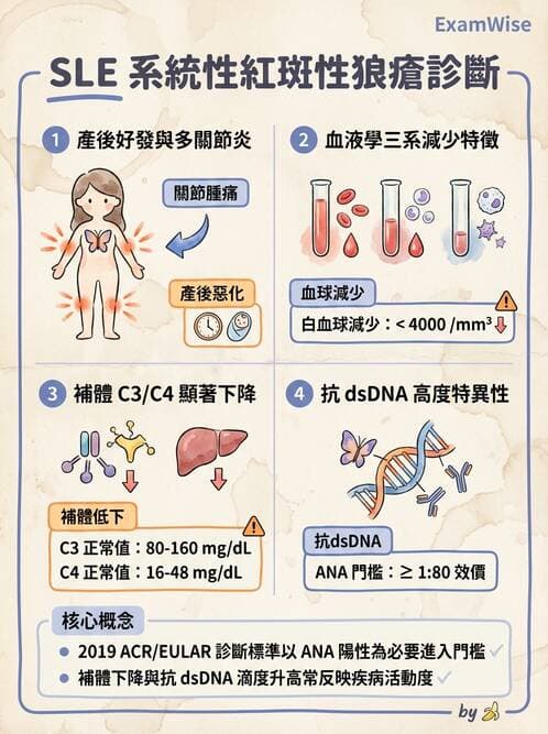 SLE - 全身性紅斑狼瘡 - AI 圖文解析預覽