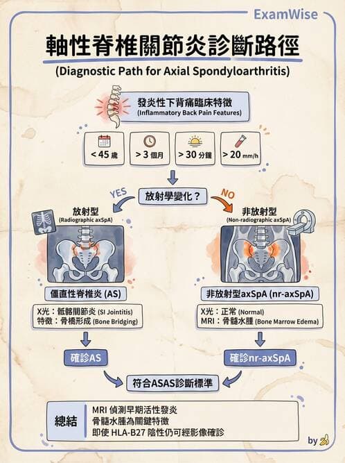 內專 - 脊椎關節病變 - AI 圖文解析預覽