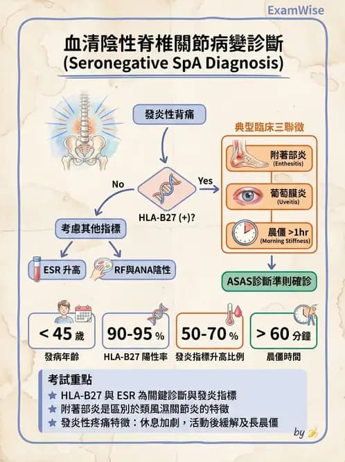 內專 - 脊椎關節病變 - AI 圖文解析預覽