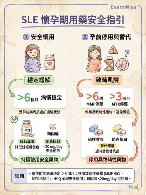 SLE - 全身性紅斑狼瘡 - AI 圖文解析預覽