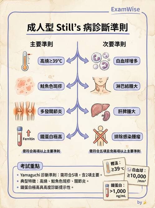 內專 - 免疫學基礎與特殊免疫反應 - AI 圖文解析預覽