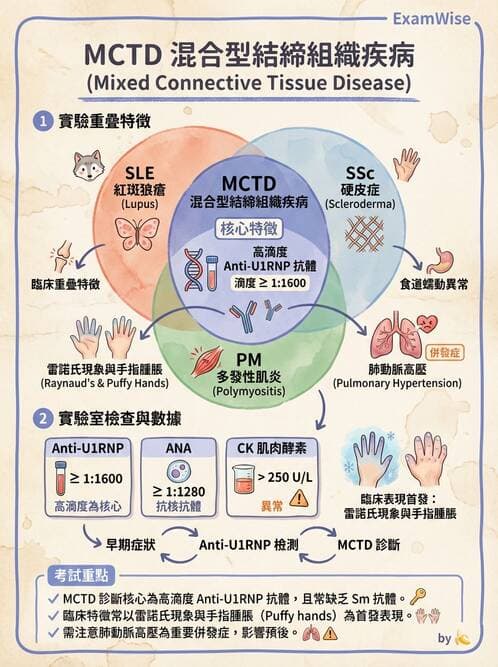 內專 - 系統性硬化症 - AI 圖文解析預覽