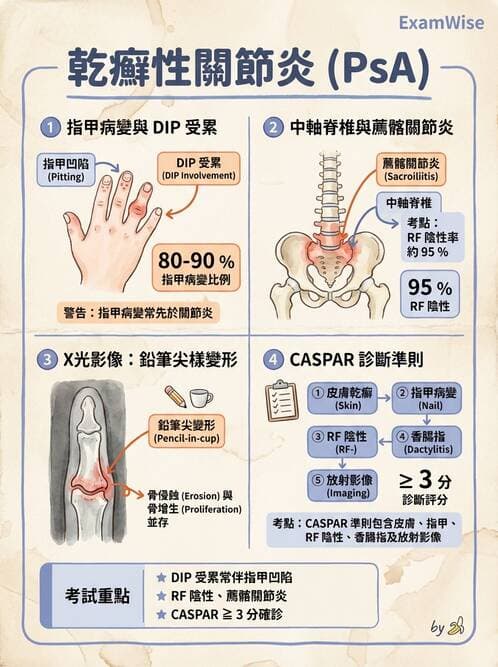 內專 - 脊椎關節病變 - AI 圖文解析預覽