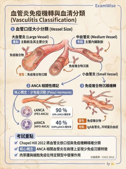 內專 - 血管炎 - AI 圖文解析預覽