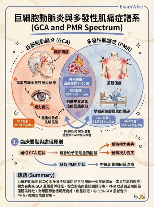 內專 - 血管炎 - AI 圖文解析預覽