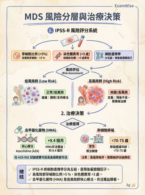 內專 - 白血病與骨髓增生不良 - AI 圖文解析預覽