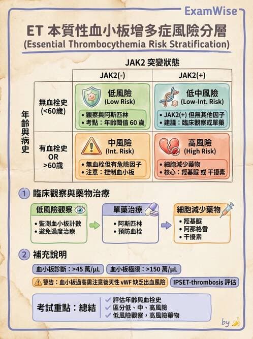 內專 - 紅血球增生症與PNH - AI 圖文解析預覽